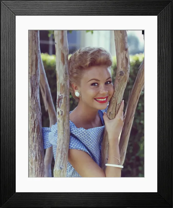 Framed Print : Actress Mitzi Gaynor Framed Print : Actress Mitzi Gaynor