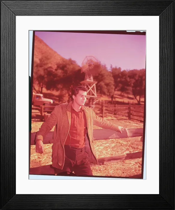 Framed Print : Portrait of Richard Beymer Framed Print : Portrait of Richard Beymer