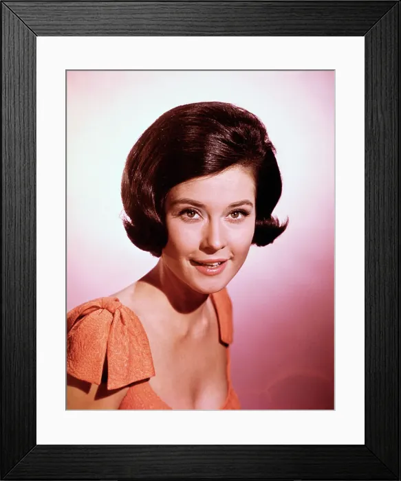 Framed Print : Portrait of Diane Baker Framed Print : Portrait of Diane Baker