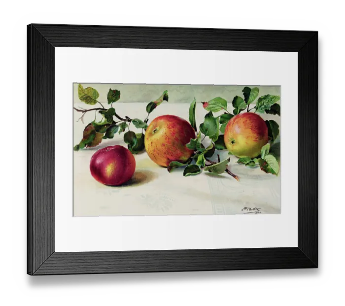 Framed Print : Apples Lying on Table Framed Print : Apples Lying on Table