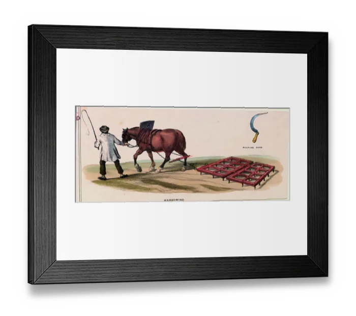Framed Print : Horse Pulling Plough