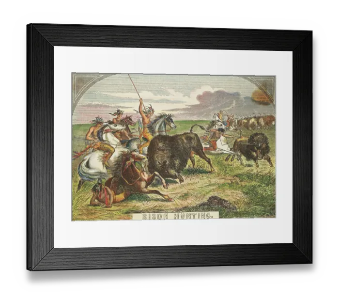Framed Print : Native Americans Hunting Bison Framed Print : Native Americans Hunting Bison