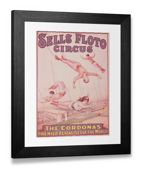 Framed Print : Trapeze Artists Displaying Their Talent Framed Print : Trapeze Artists Displaying Their Talent