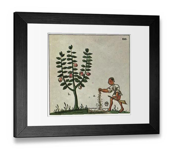 Framed Print : Farmer Planting Seeds Framed Print : Farmer Planting Seeds