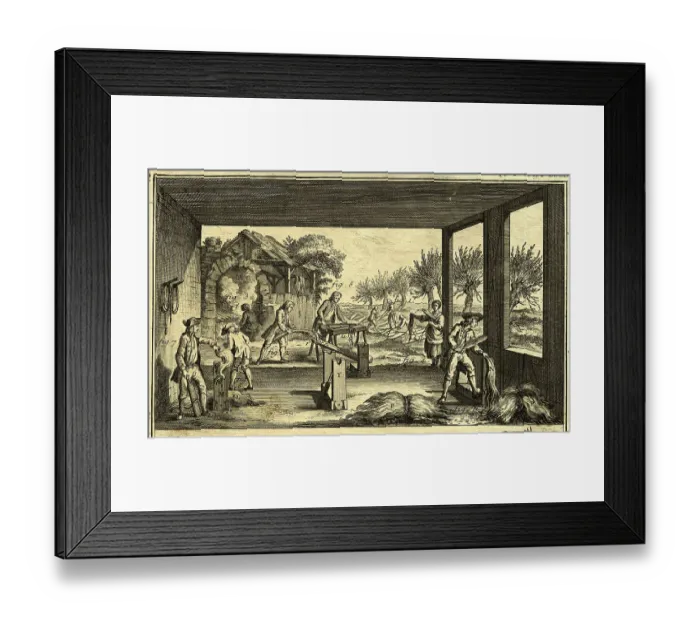 Framed Print : Preparing Flax Framed Print : Preparing Flax