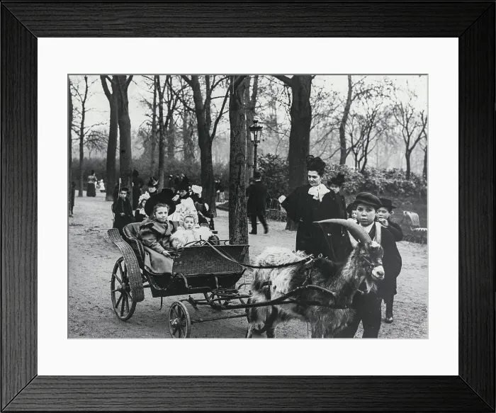 Framed Print : Goat Pulling Carriage with Children Framed Print : Goat Pulling Carriage with Children
