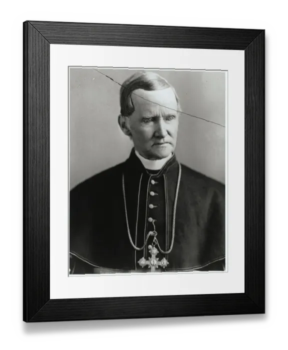 Framed Print : Cardinal John McCloskey Framed Print : Cardinal John McCloskey