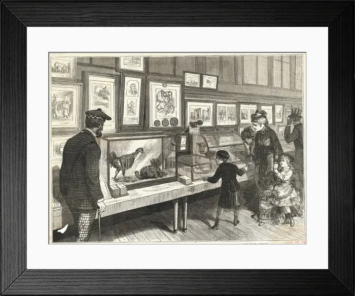 Framed Print : People Attending Animal Exhibition Framed Print : People Attending Animal Exhibition