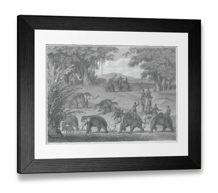 Framed Print : Elephant Catchers in Java Framed Print : Elephant Catchers in Java