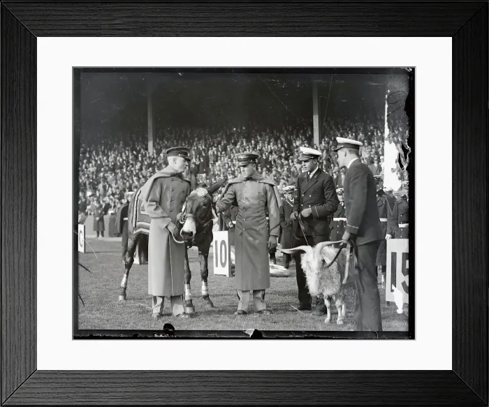 Framed Print : Army Navy Men with Football Mascots on Field