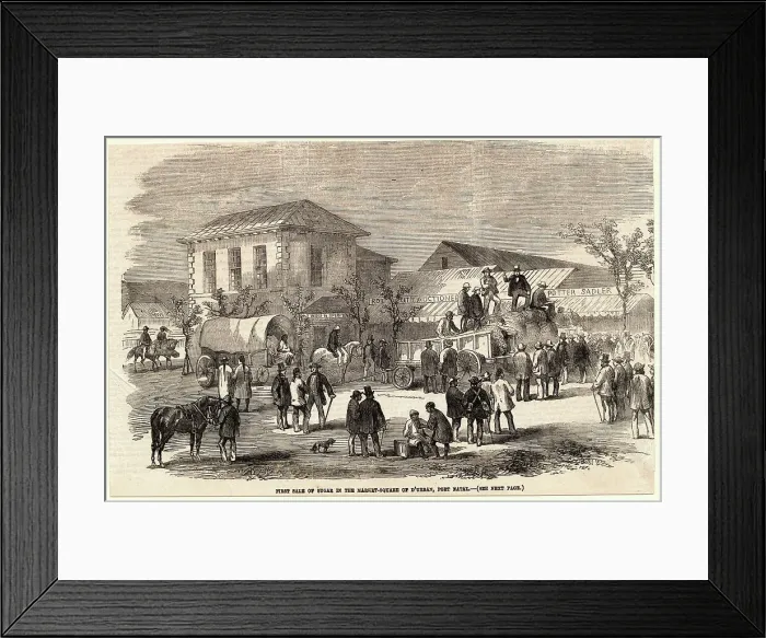 Framed Print : Men Selling Sugar Cane in South Africa Framed Print : Men Selling Sugar Cane in South Africa