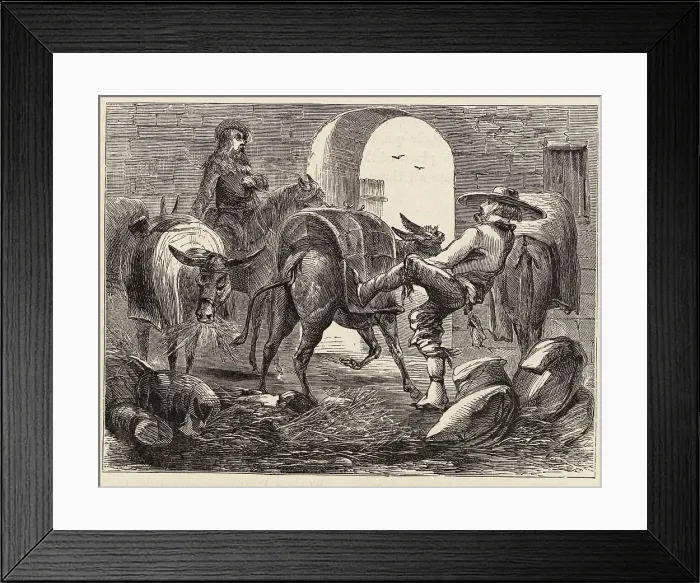 Framed Print : Man Loading Mules Framed Print : Man Loading Mules