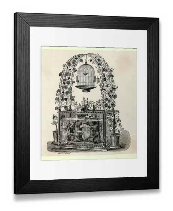 Framed Print : Aquarium with Trellis and Hanging Bird Cage Framed Print : Aquarium with Trellis and Hanging Bird Cage