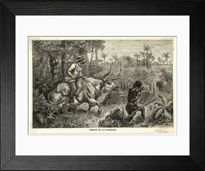 Framed Print : Pursuit of an Elephant Framed Print : Pursuit of an Elephant