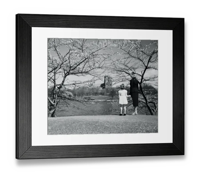 Framed Print : Mother and daughter (8-9 years) looking at view, Newark, Essex County, New Jersey, USA. April 14, 1954 Framed Print : Mother and daughter (8-9 years) looking at view, Newark, Essex County, New Jersey, USA. April 14, 1954