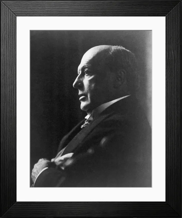 Framed Print : American Writer Henry James Framed Print : American Writer Henry James