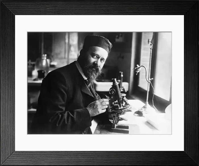 Framed Print : Albert Calmette Working With Microscope Framed Print : Albert Calmette Working With Microscope