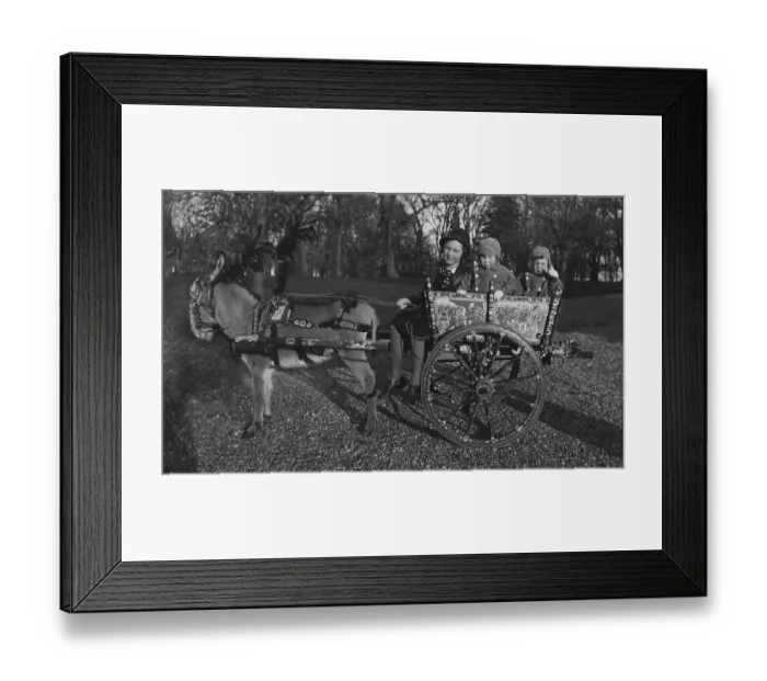 Framed Print : Gov. Vanderbilt'S Kids In Cart / Donkey Framed Print : Gov. Vanderbilt'S Kids In Cart / Donkey