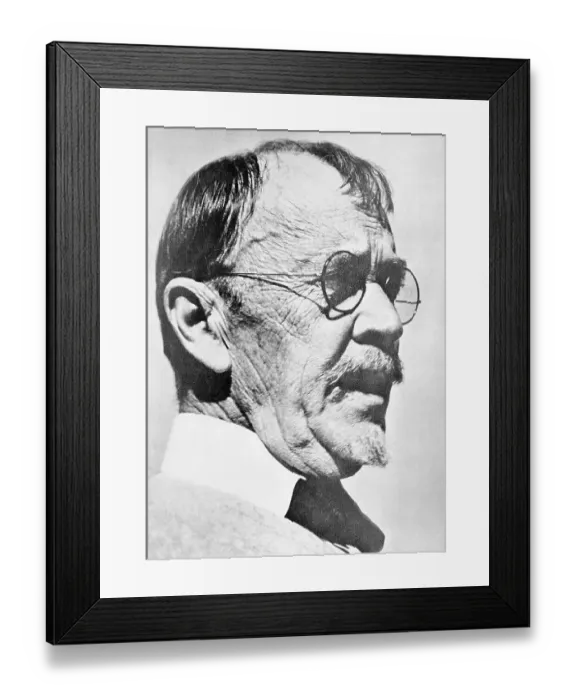 Framed Print : Close-up of Lincoln Steffens Framed Print : Close-up of Lincoln Steffens