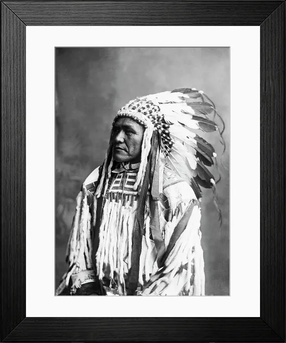 Framed Print : Crow Indian In Traditional Dress Framed Print : Crow Indian In Traditional Dress