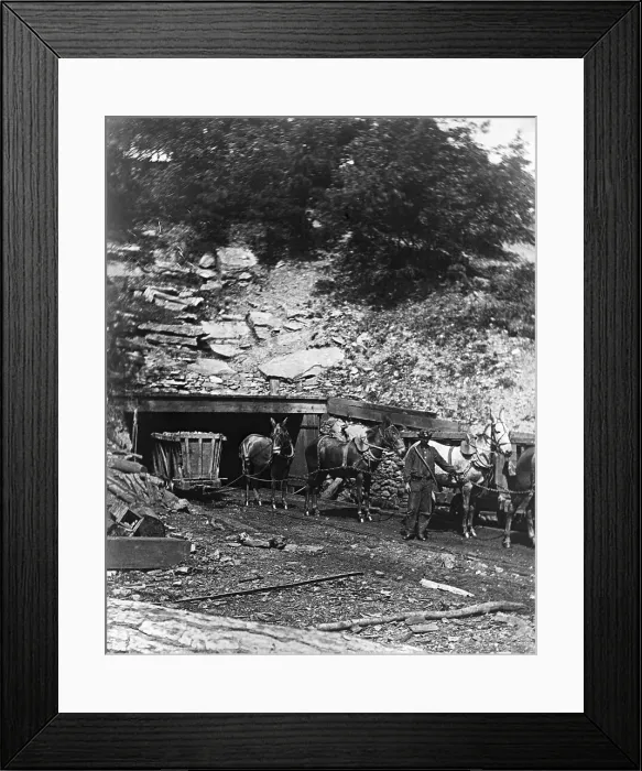 Framed Print : Man Holding Mules at Coal Mine Entrance Framed Print : Man Holding Mules at Coal Mine Entrance