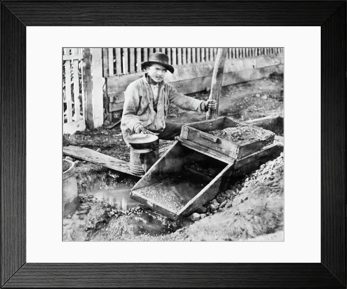 Framed Print : Miner In Tuolumne County Framed Print : Miner In Tuolumne County