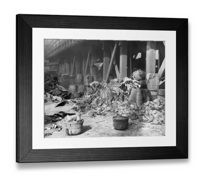 Framed Print : Man Searches Through Lg Outside Dump Framed Print : Man Searches Through Lg Outside Dump
