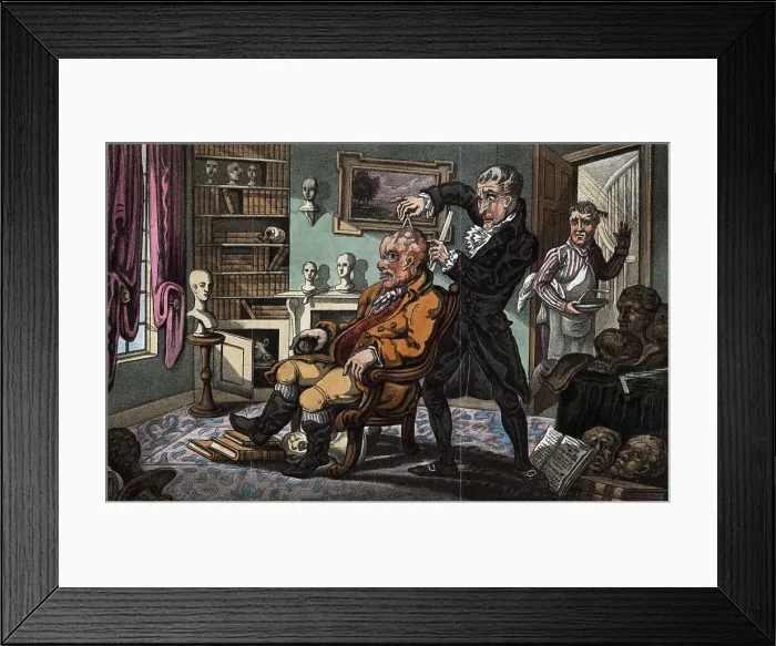 Framed Print : A Craniological Examination Framed Print : A Craniological Examination