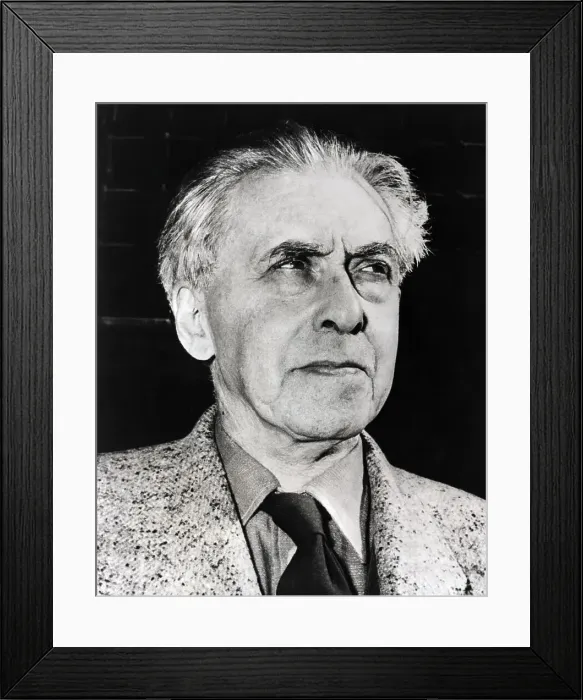Framed Print : Ilya Ehrenburg Russaian Writer Framed Print : Ilya Ehrenburg Russaian Writer