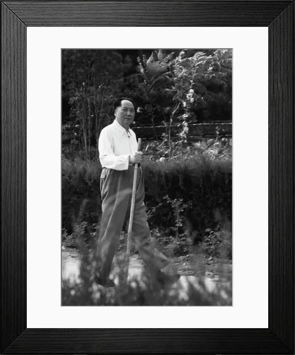 Framed Print : Mao Tse-Tung Outside W / Walking Stick Framed Print : Mao Tse-Tung Outside W / Walking Stick