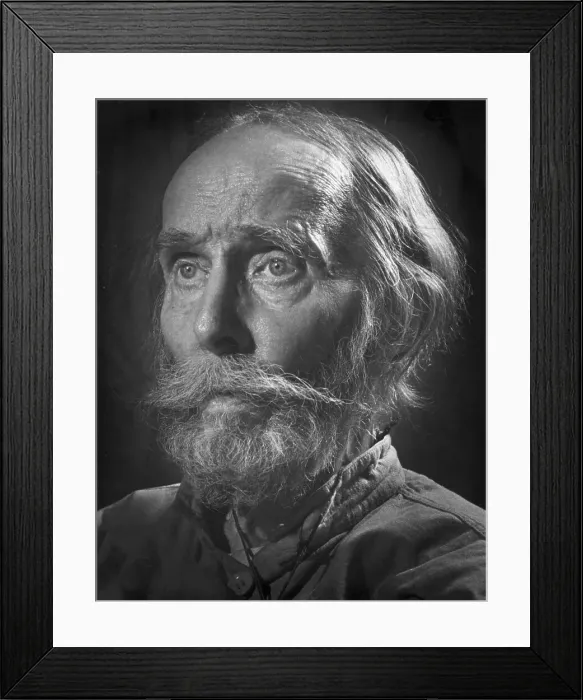 Framed Print : The Professor Framed Print : The Professor