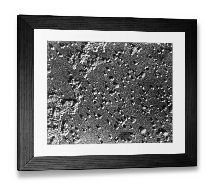 Framed Print : Microscopic View of Polio Virus Framed Print : Microscopic View of Polio Virus