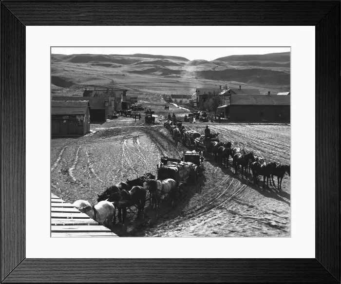 Framed Print : Wagon Train In 1880S Farming Community Framed Print : Wagon Train In 1880S Farming Community