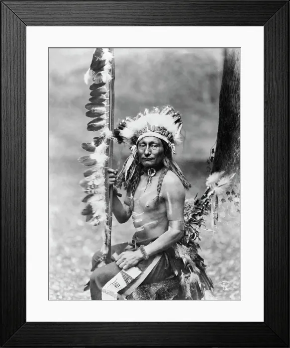 Framed Print : Native American in Regalia Framed Print : Native American in Regalia