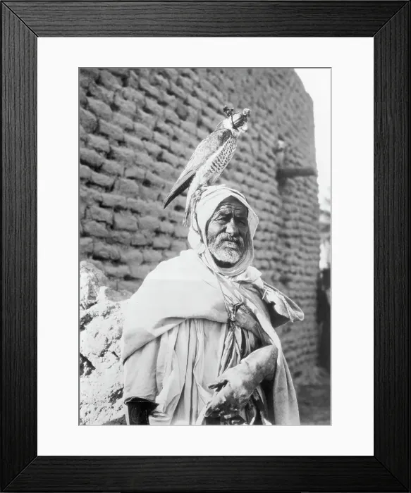 Framed Print : Algerian Falconer Holding Falcon on his Head