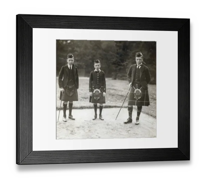 Framed Print : Prince Albert, Prince Henry, Prince Of Wales Framed Print : Prince Albert, Prince Henry, Prince Of Wales