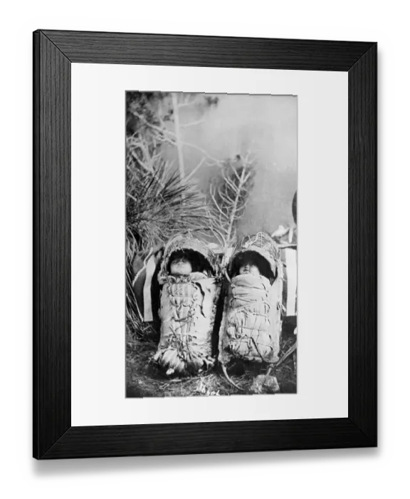 Framed Print : Indian Babies In Cradleboards Framed Print : Indian Babies In Cradleboards