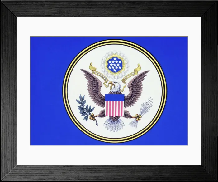 Framed Print : Official United States of America Seal Framed Print : Official United States of America Seal