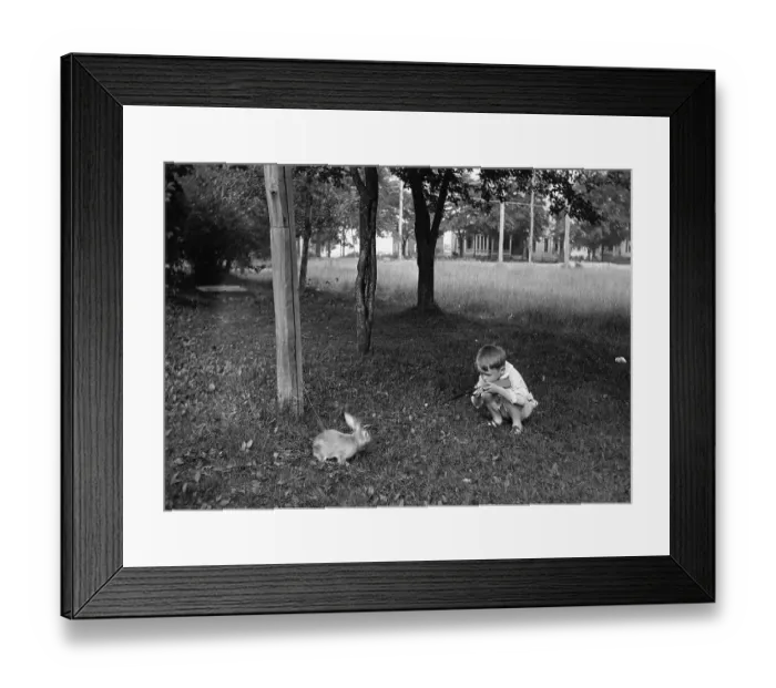 Framed Print : Boy (8-9) playing with rabbit in park