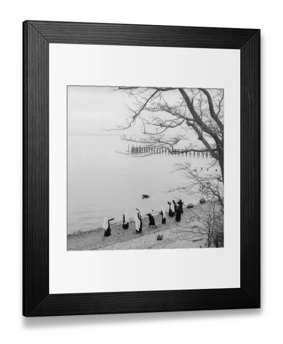 Framed Print : Nuns Framed Print : Nuns