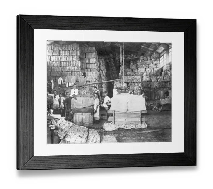 Framed Print : Men Working in a Tobacco Warehouse Framed Print : Men Working in a Tobacco Warehouse