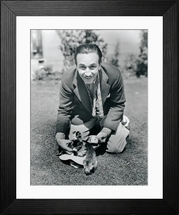 Framed Print : Walt Disney Kneeling on Lawn Framed Print : Walt Disney Kneeling on Lawn