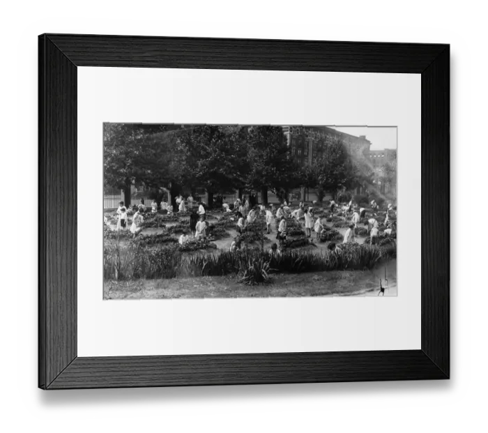 Framed Print : Girls working in Garden Framed Print : Girls working in Garden