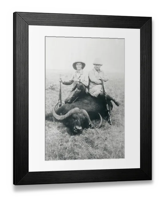 Framed Print : Teddy Roosevelt Sitting on Dead Water Buffalo with Rifle Framed Print : Teddy Roosevelt Sitting on Dead Water Buffalo with Rifle