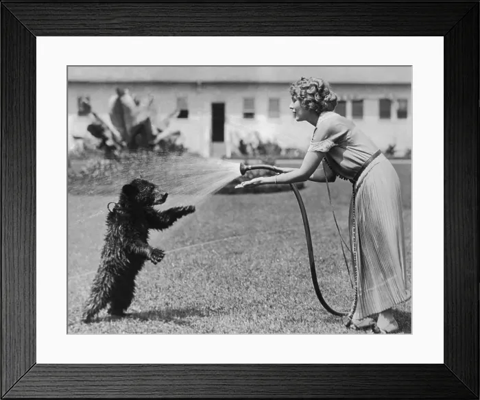 Framed Print : Mary Pickford and Bear on Lawn Framed Print : Mary Pickford and Bear on Lawn