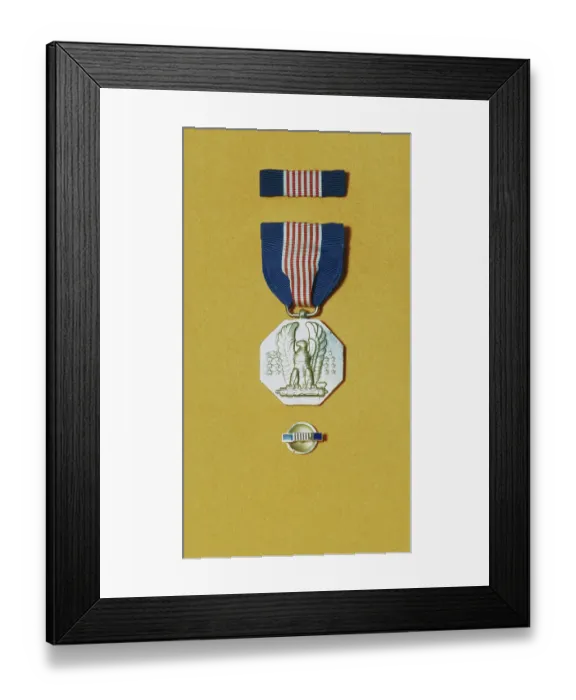 Framed Print : United States Army Medal Framed Print : United States Army Medal
