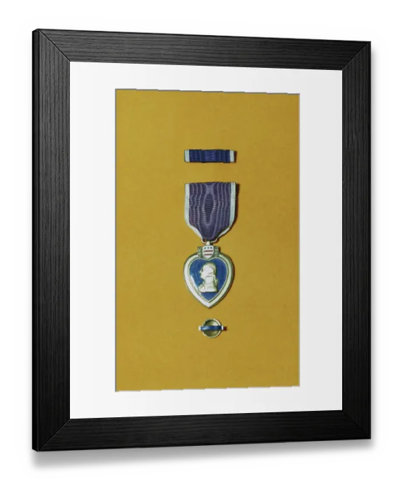 Framed Print : Armed Forces Purple Heart Framed Print : Armed Forces Purple Heart