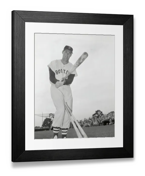 Framed Print : Ted Williams in Batting Position and Wearing Baseball Uniform Framed Print : Ted Williams in Batting Position and Wearing Baseball Uniform