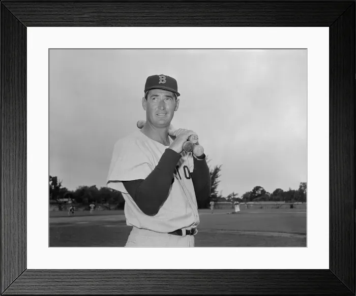 Framed Print : Ted Williams of Boston Red Sox in Spring Training Framed Print : Ted Williams of Boston Red Sox in Spring Training