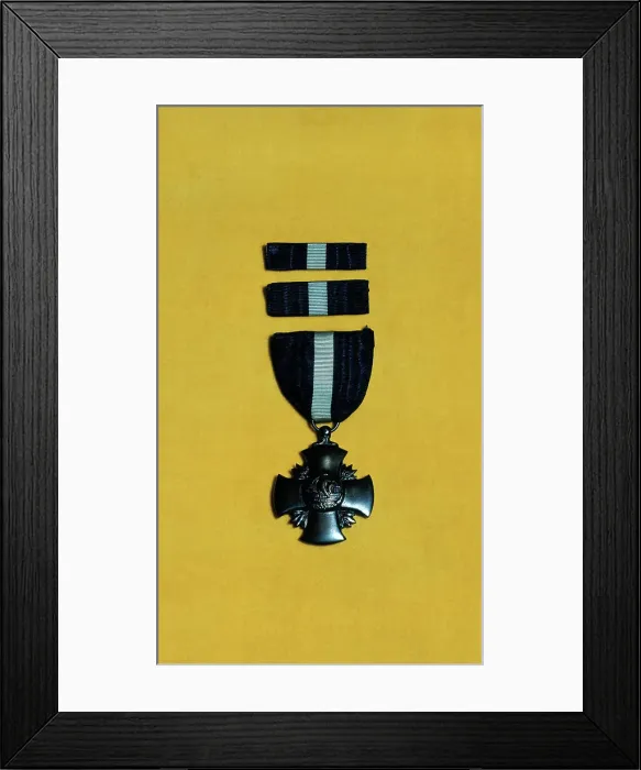 Framed Print : Navy Medal Display Framed Print : Navy Medal Display